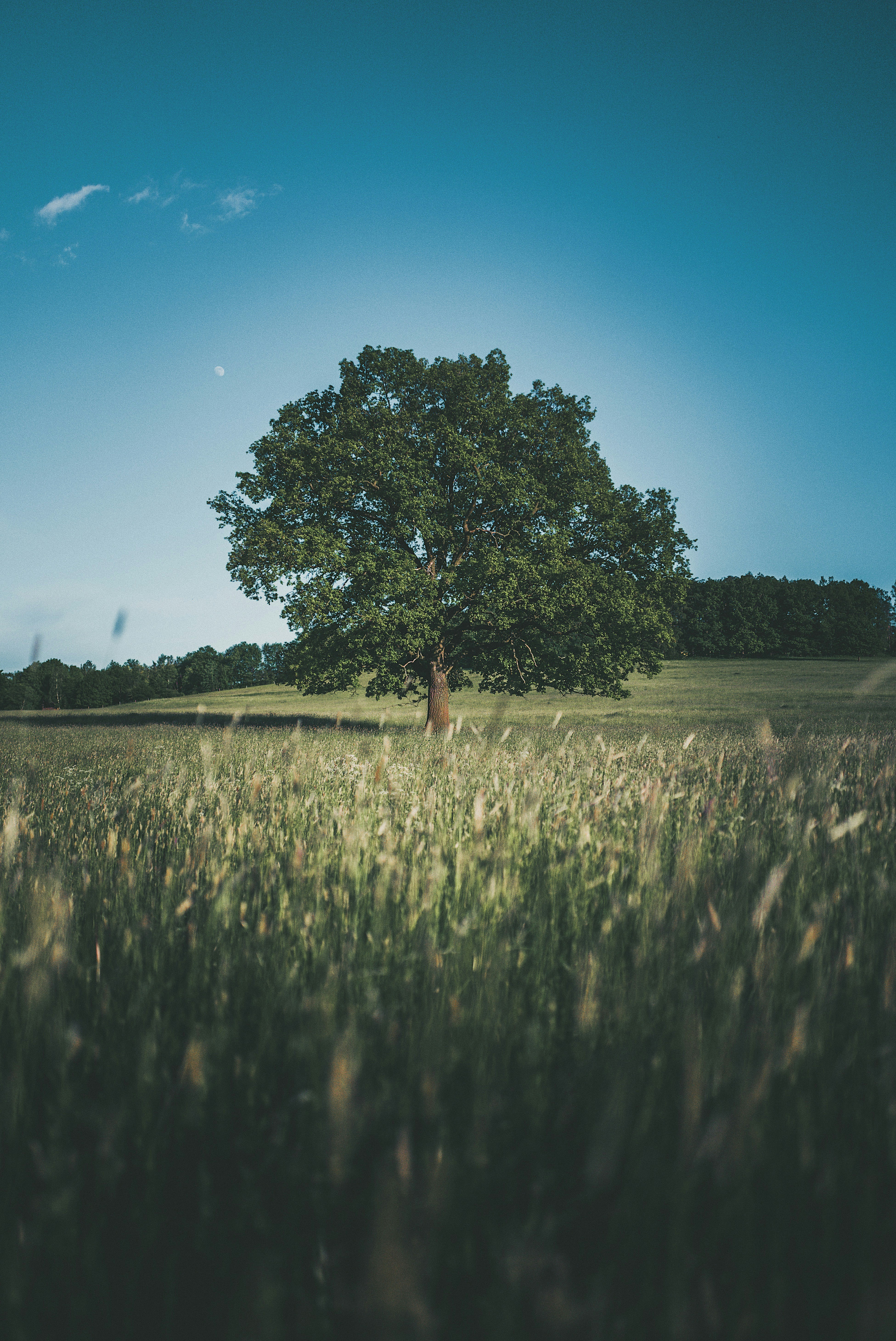Foto: Jerry Kavan, Unsplash